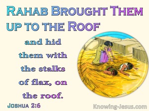 Joshua 2:6